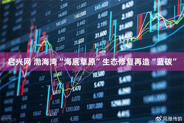 启兴网 渤海湾“海底草原”生态修复再造“蓝碳”