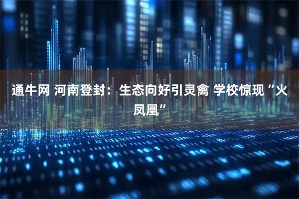 通牛网 河南登封：生态向好引灵禽 学校惊现“火凤凰”