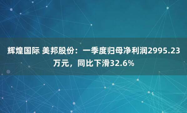 辉煌国际 美邦股份：一季度归母净利润2995.23万元，同比下滑32.6%