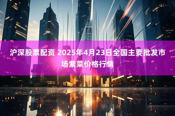 沪深股票配资 2025年4月23日全国主要批发市场紫菜价格行情
